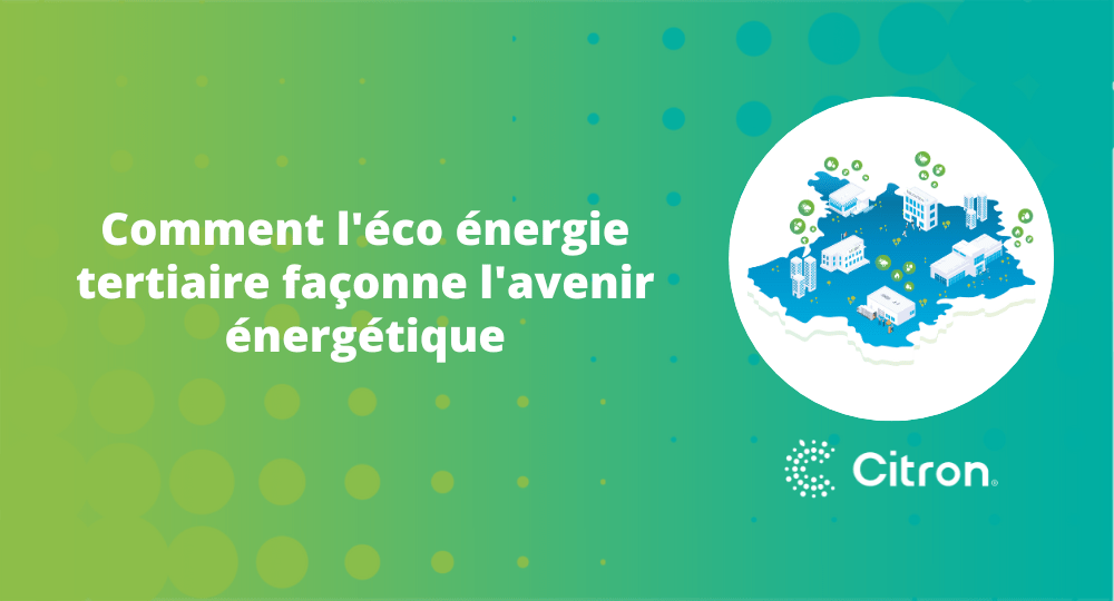 découvrez comment l'avenir des énergies renouvelables façonne notre planète. explorez les innovations, les technologies émergentes et les initiatives durables qui permettront de réduire notre empreinte carbone et de construire un monde plus vert.